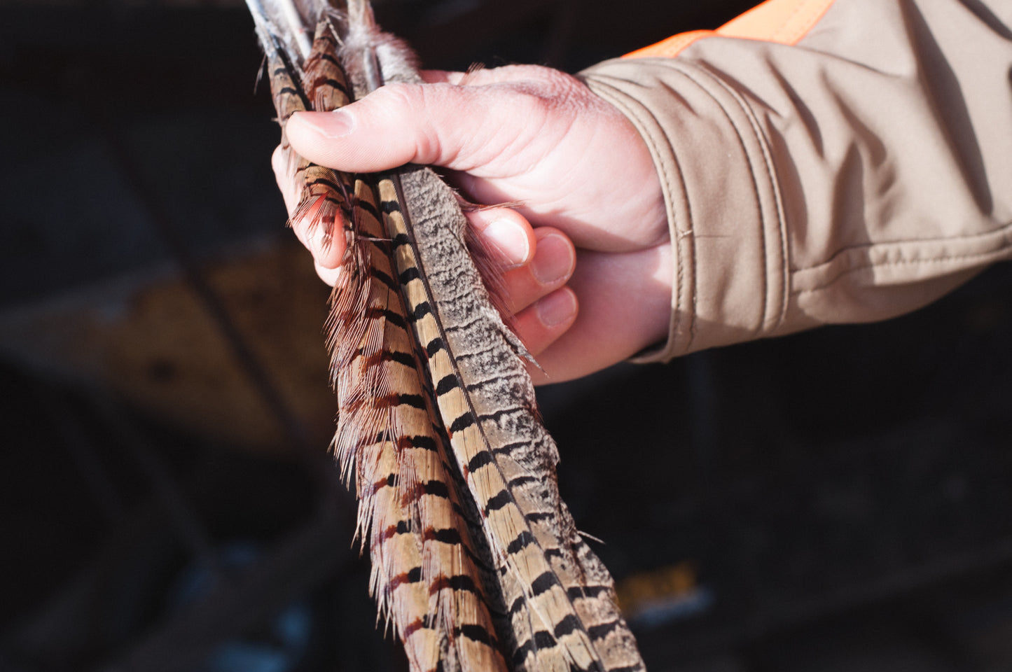 Holiday Pheasant Dinner & Cigars