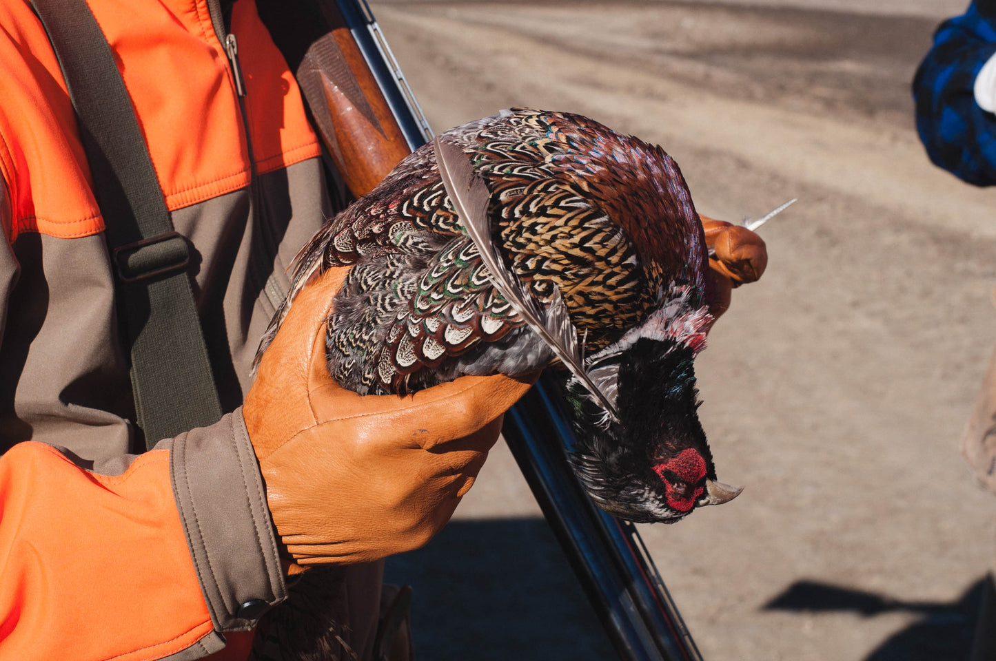 Holiday Pheasant Dinner & Cigars